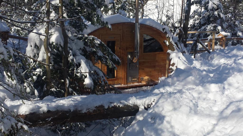 Willa Gusia, Apartamenty Zakopane Eksteriør billede