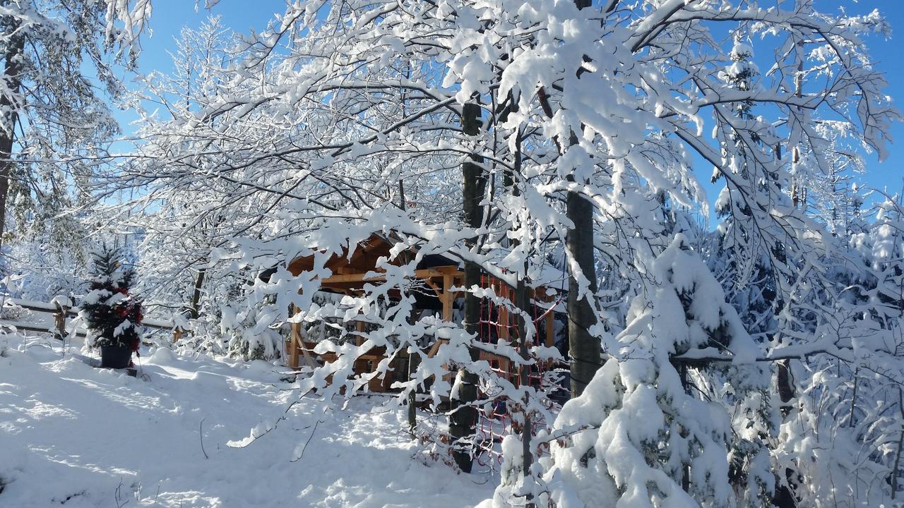 Willa Gusia, Apartamenty Zakopane Eksteriør billede