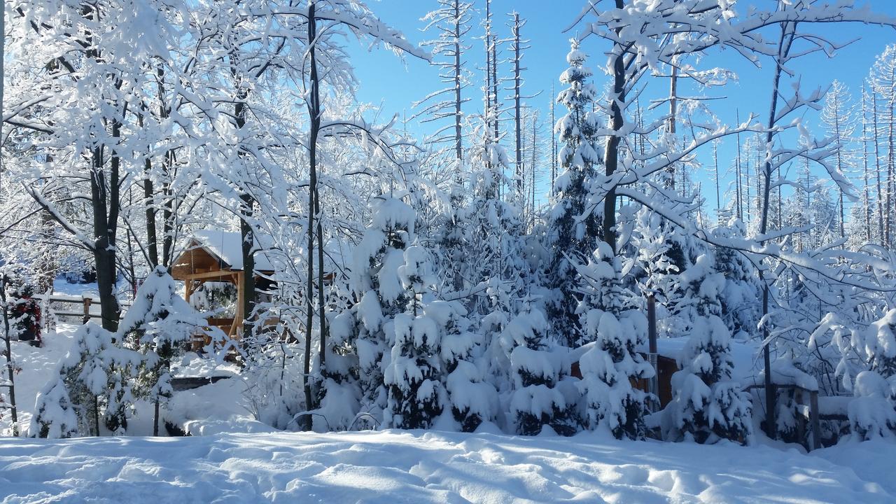 Willa Gusia, Apartamenty Zakopane Eksteriør billede