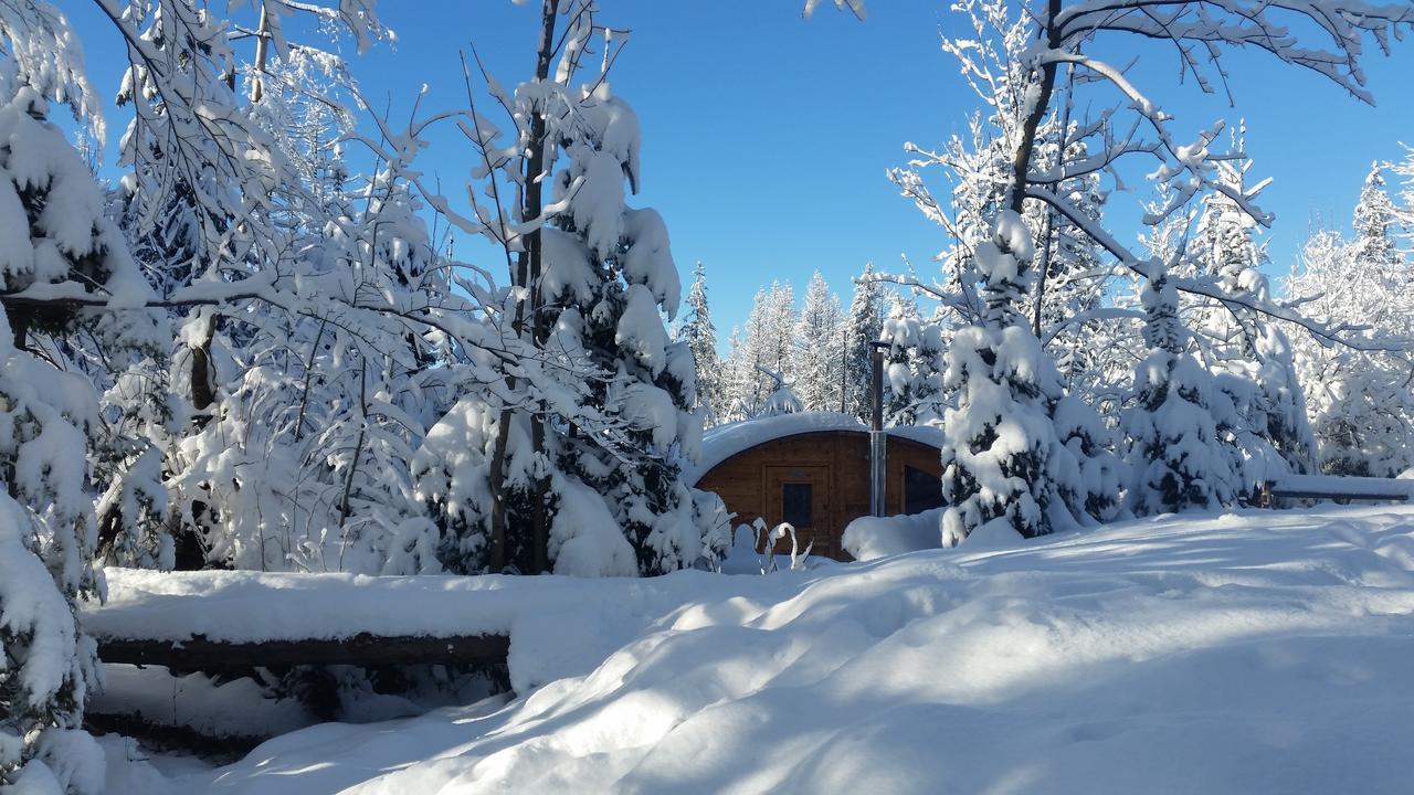 Willa Gusia, Apartamenty Zakopane Eksteriør billede